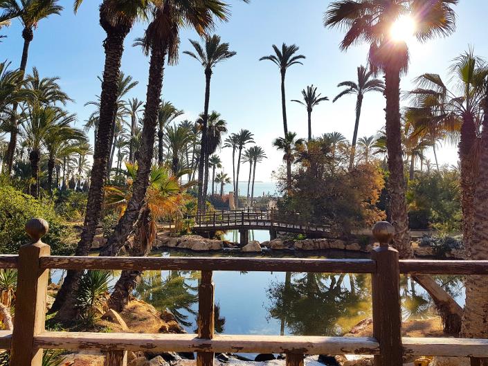 Image No.29-3 Bed Apartment for sale