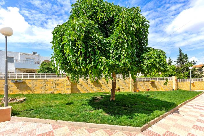 Image No.3-1 Bed Apartment for sale