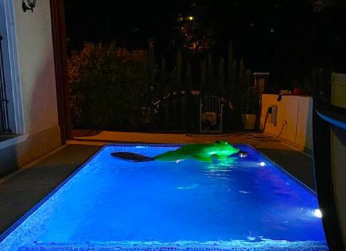 Image No.2-Jumelé de 4 chambres à vendre à Dehesa de Campoamor