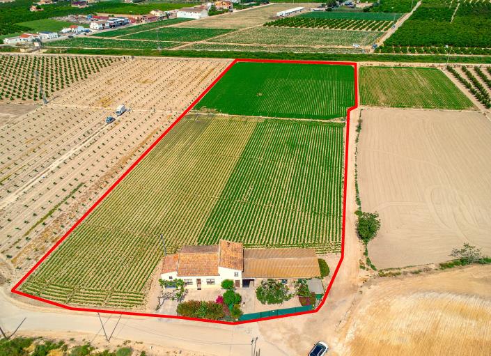 Image No.6-Finca de 3 chambres à vendre à Orihuela