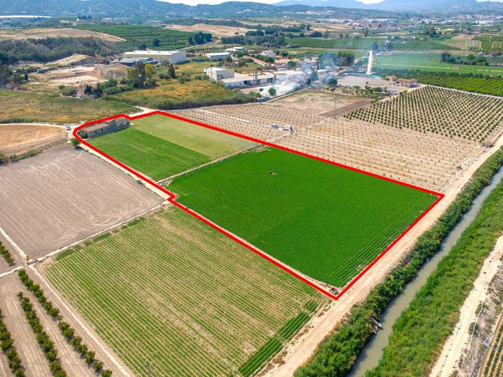 Image No.4-Finca de 3 chambres à vendre à Orihuela