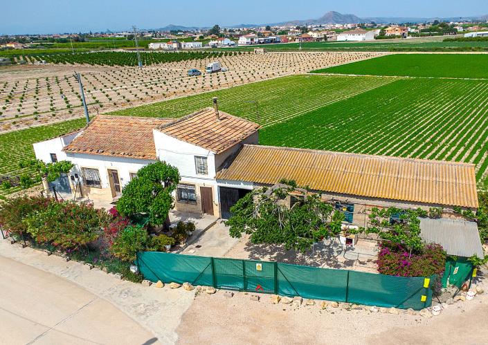 Image No.5-Finca de 3 chambres à vendre à Orihuela