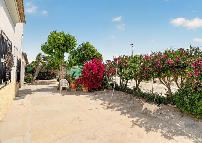 Image No.11-Finca de 3 chambres à vendre à Orihuela