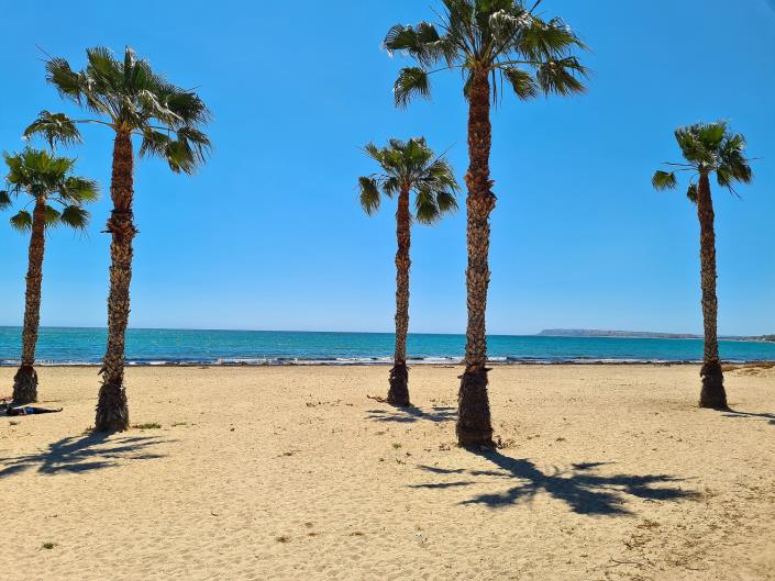 Alicante City, Apartment