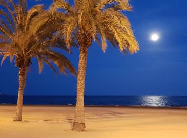 AlicanteBeach3