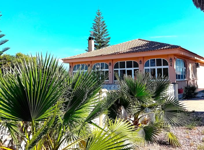 Image No.26-Finca de 4 chambres à vendre à Dolores