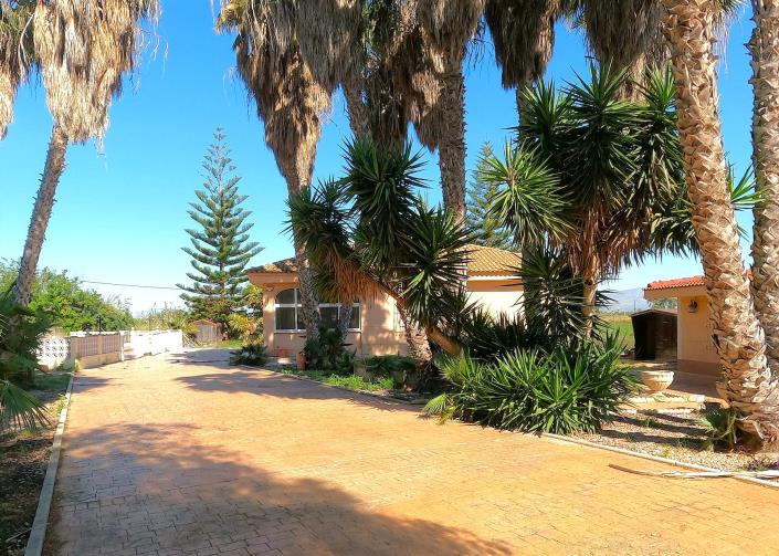 Image No.24-Finca de 4 chambres à vendre à Dolores