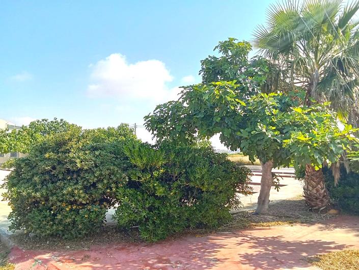 Image No.14-2 Bed Bungalow for sale