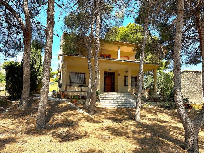 Image No.19-8 Bed Finca for sale