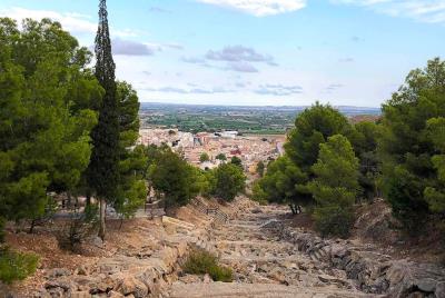 callosa2