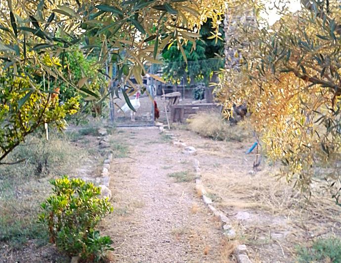 Image No.11-2 Bed Finca for sale