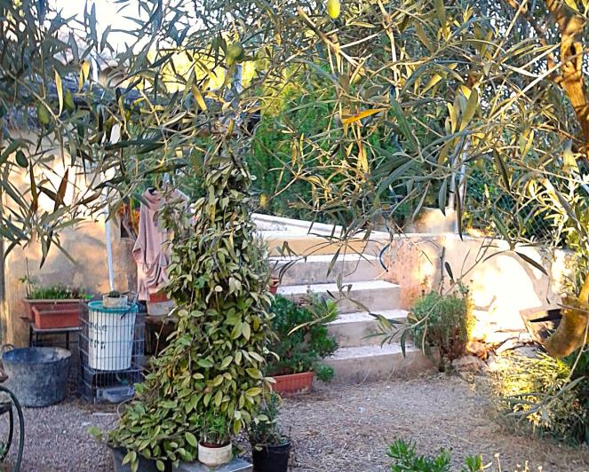Image No.13-2 Bed Finca for sale