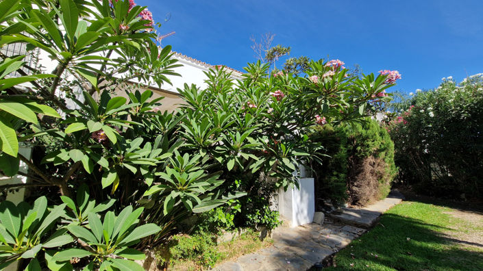 Image No.41-3 Bed Townhouse for sale