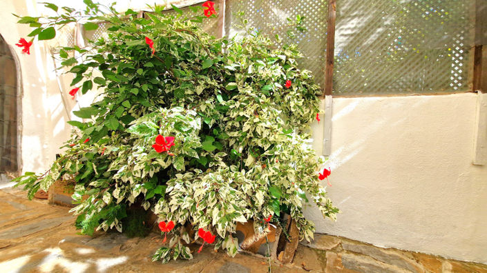 Image No.45-3 Bed Townhouse for sale