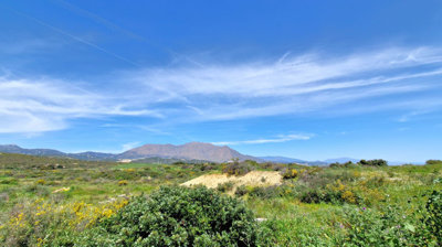 b98le8d7m9k3degpefzhs0lif8u4xzvzhwxtmggyekxx9