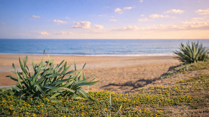 Image No.44-4 Bed Townhouse for sale