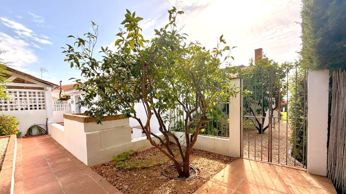 Image No.44-3 Bed House for sale