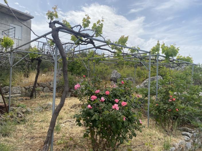 Image No.16-3 Bed Village House for sale