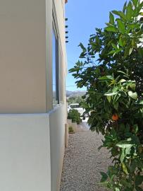 IMG_20220618_114638