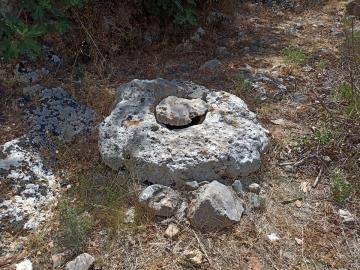 IMG_20220618_114710