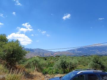 IMG_20220618_114246