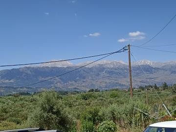 IMG_20220618_114252