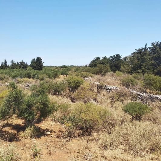 Image No.29-4 Bed House/Villa for sale