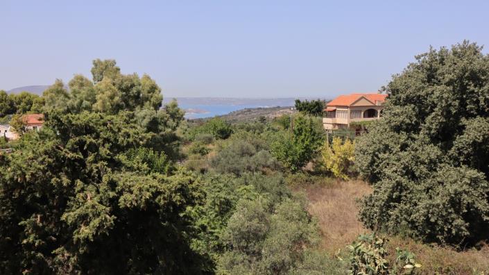 Image No.43-3 Bed House for sale