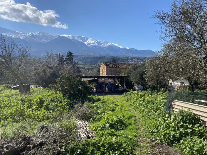 Image No.16-Village House for sale