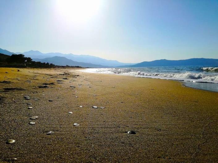 Image No.24-1 Bed Apartment for sale