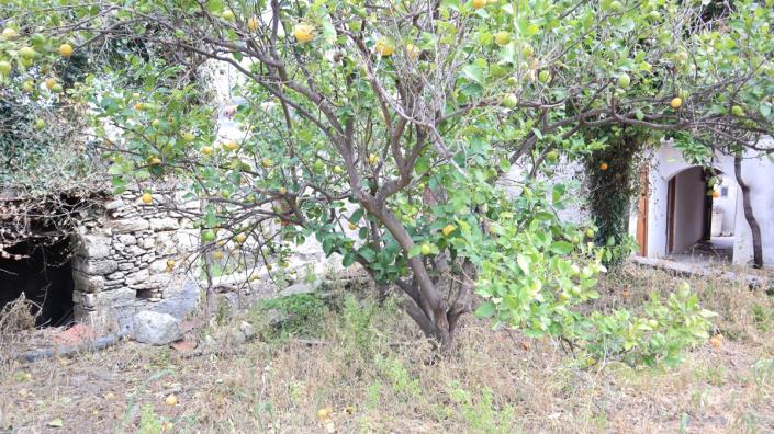 Image No.14-3 Bed Village House for sale