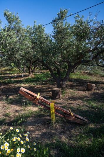 Image No.38-6 Bed House/Villa for sale