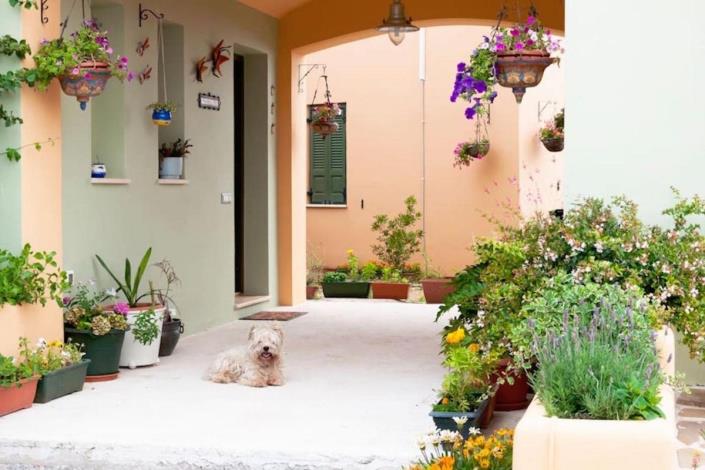 Image No.59-6 Bed House/Villa for sale