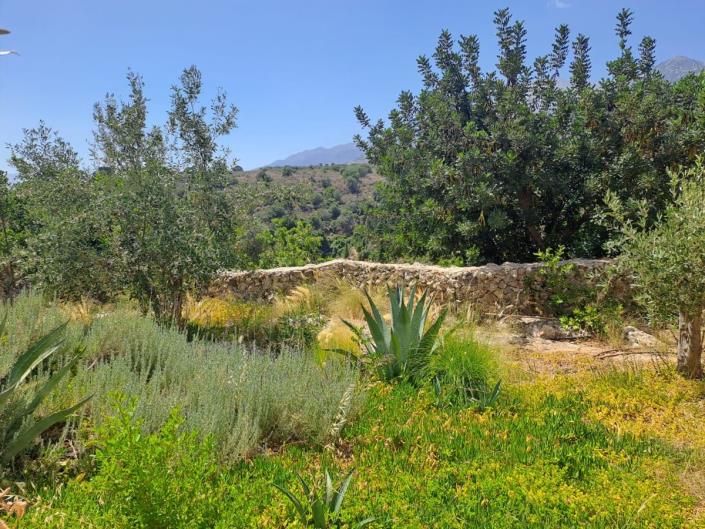 Image No.9-6 Bed House/Villa for sale