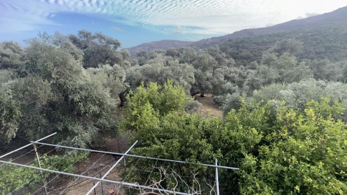 Image No.20-3 Bed House for sale