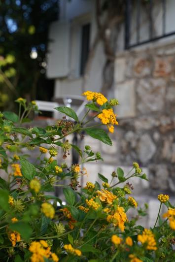 Image No.41-2 Bed Maisonette for sale