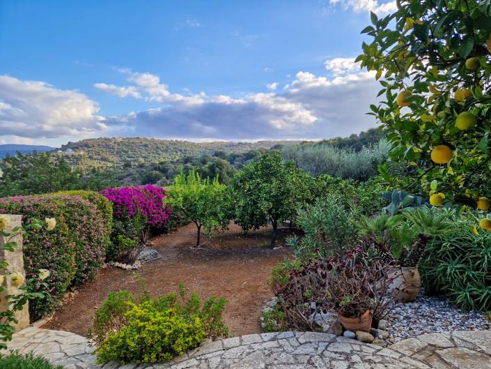 Image No.43-4 Bed Village House for sale