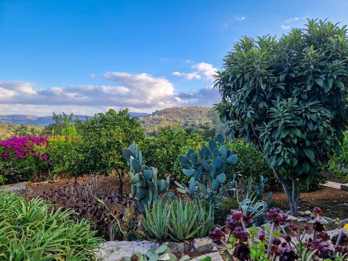 Image No.45-4 Bed Village House for sale