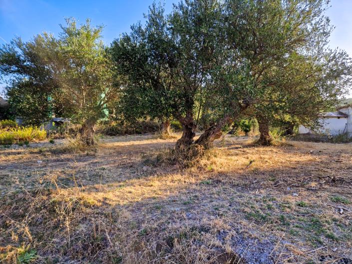 Image No.21-1 Bed Village House for sale