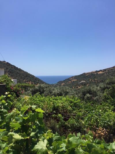 Image No.33-12 Bed Hotel for sale