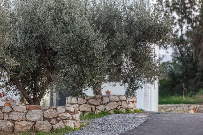 Image No.29-12 Bed Villa for sale