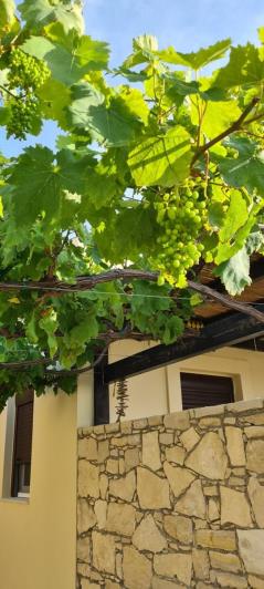 Image No.19-3 Bed House/Villa for sale