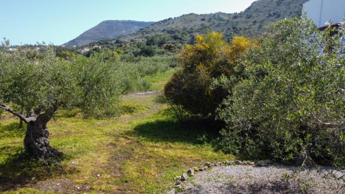 Image No.5-4 Bed House/Villa for sale