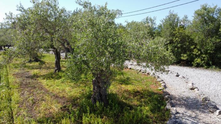 Image No.6-4 Bed House/Villa for sale