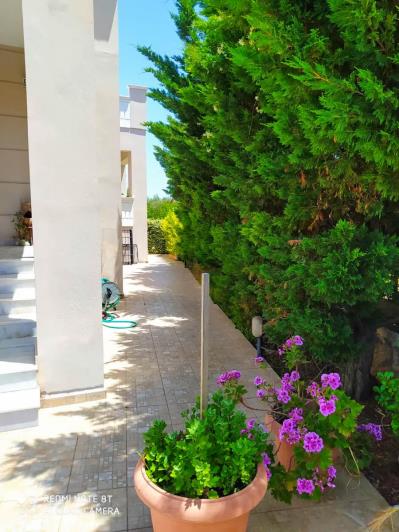 Image No.14-Maison / Villa de 8 chambres à vendre à Agios Onoufrios