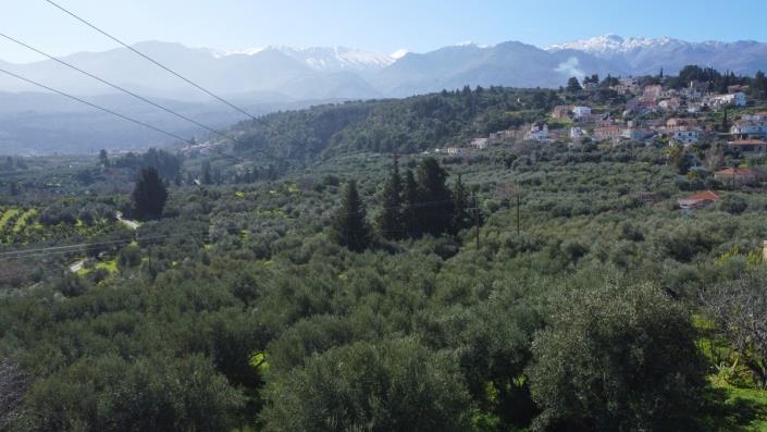 Image No.42-2 Bed Village House for sale