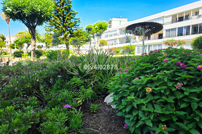 Image No.33-Propriété de 1 chambre à vendre à Benalmadena