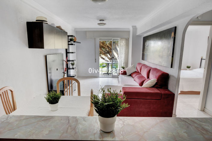 Image No.8-Propriété de 1 chambre à vendre à Arroyo de la Miel