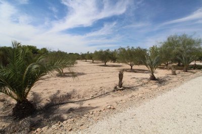 15739158rusticland020923110812img6619