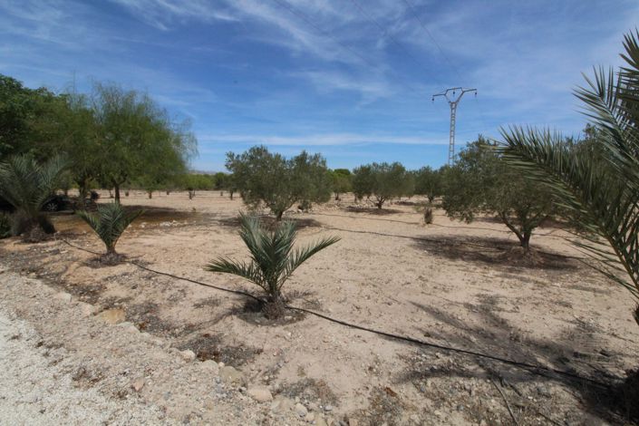 Image No.14-Terrain à vendre à Elche